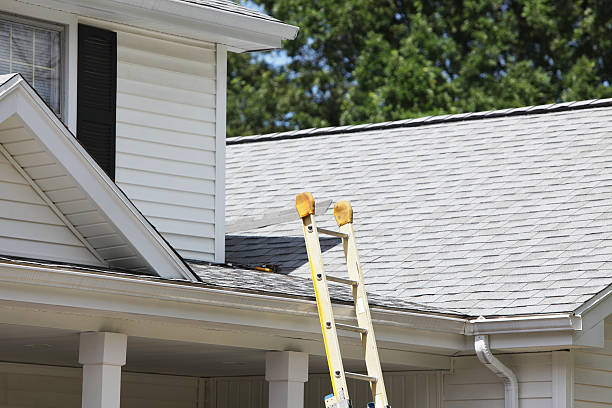 Best Siding Removal and Disposal  in Springhill, LA